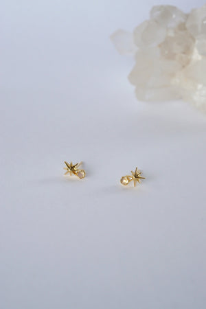 Stargaze Earrings in Gold - Moonstone