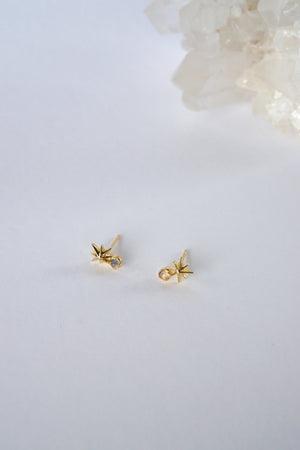 Stargaze Earrings in Gold - Moonstone